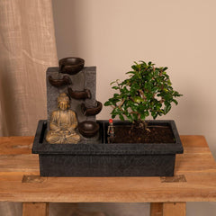 Bonsai Waterval (Budha) - Ø15cm - ↕30cm