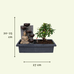 Bonsai Waterval (Budha) - Ø15cm - ↕30cm