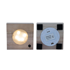 Calathea in Samoa glas met LED verlichting - ø12cm - ↕10cm