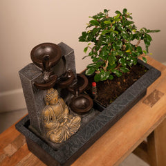 Bonsai Waterval (Budha) - Ø15cm - ↕30cm